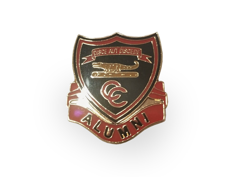 School Pin